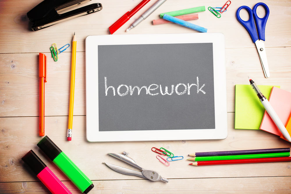 Daily Homework Programme